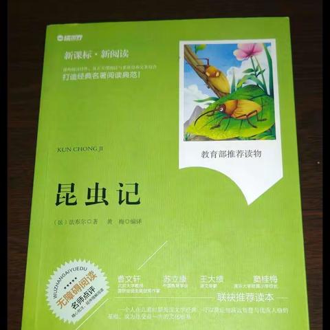 铁炉小学四年级读书分享活动