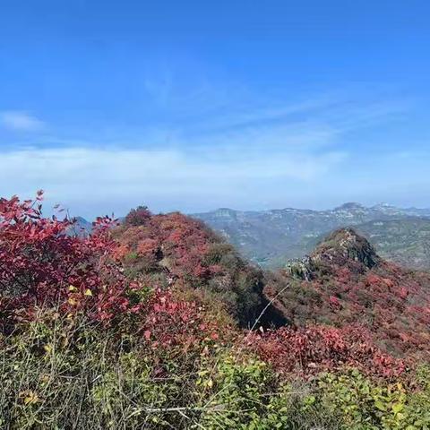 10月19号周天山东最美红叶锯齿崖召集帖