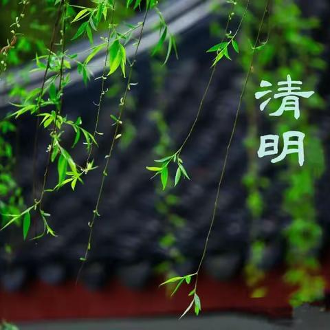 中粮大二班“清明节”主题活动