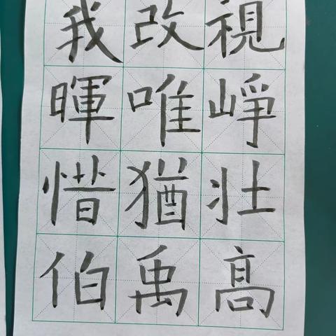 蔡沟镇庙杨小学师生汉字书写大赛