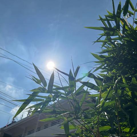 2023年中考结束南天中学致家长一封信