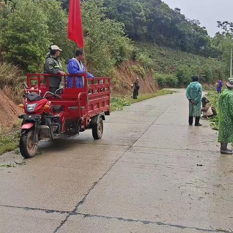 老照冲支部开展三个一活动