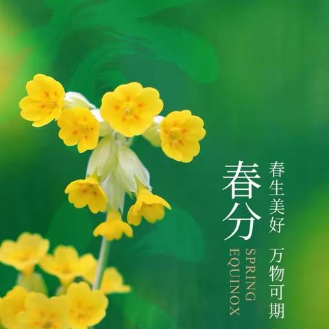 春分春分，快乐不分！——总十庄学区庄合寨学校春分活动