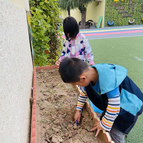 【能力提升年】🍂相约秋天   快乐种植🌾