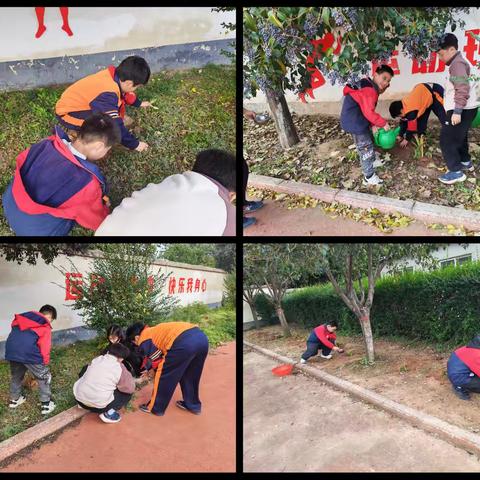 鸢尾花种植记——孟塬镇中心小学五二班劳动实践