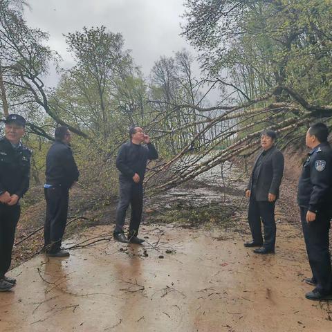 【三抓三促】行动 关山林管局联合关山森林大队在麻庵林区进行防汛减灾、道路交通、安全隐患大检查大排查