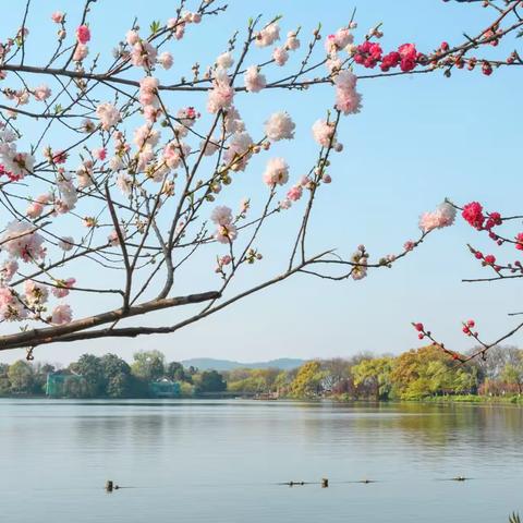 江南春景盛，精研步生花——记佛山市南海区教育科研骨干教师赴浙江杭州研修