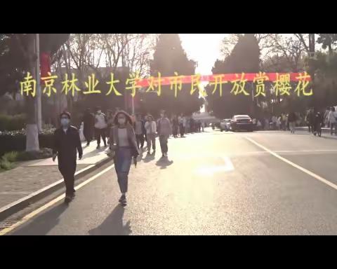 为南林大向市民开放校园赏樱点赞