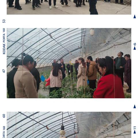 走出去学先进经验 引进来促产业提升——安塞区高素质农民蔬菜专题培训班赴泾阳实践教学侧记