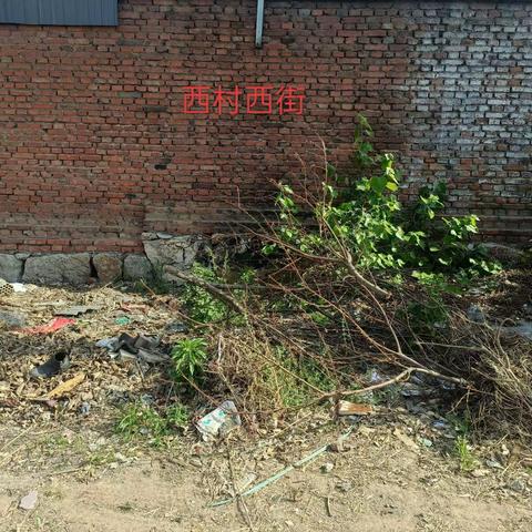 西村24年4月26日环境卫生存在问题