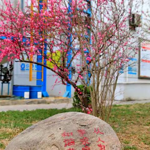 如花的春景   奋斗的时代--威远生化的春天