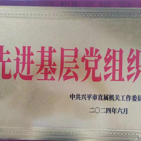 兴平：荣获“先进基层党组织”荣誉称号