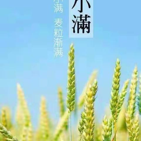 芒种至 盛夏始—益林杨园幼儿园