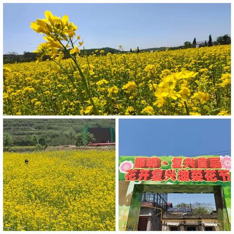 【关爱学生 幸福成长】东邢台小学“我和春天的约会”亲子研学活动