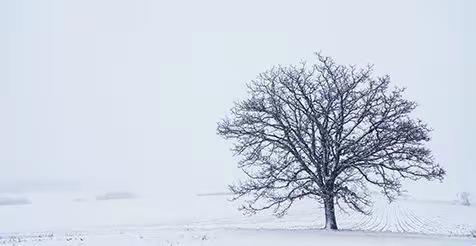 防范降雪天气，关注冬季安全——玉带湾学校冰雪天气安全教育提示