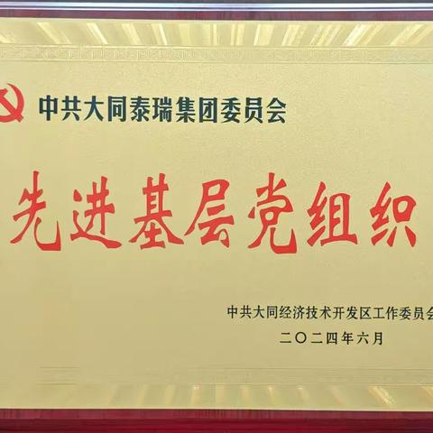 大同泰瑞集团党委荣获“大同经开区先进基层党组织”荣誉称号