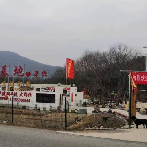 无为碧桂园物业员工鸡毛燕基地踏青团建