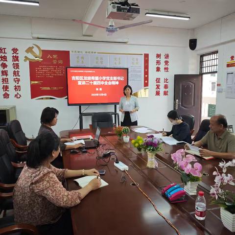 三亚市吉阳区龙坡希望小学二十届四中全会精神专题宣讲