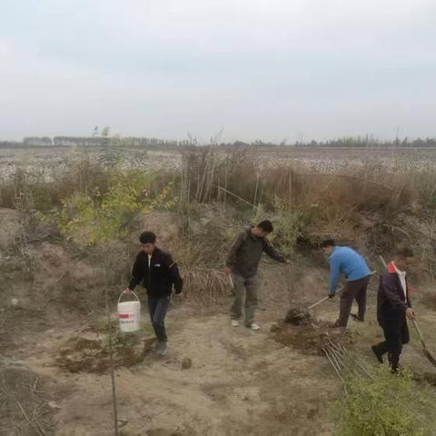 植此青绿，共护家园。