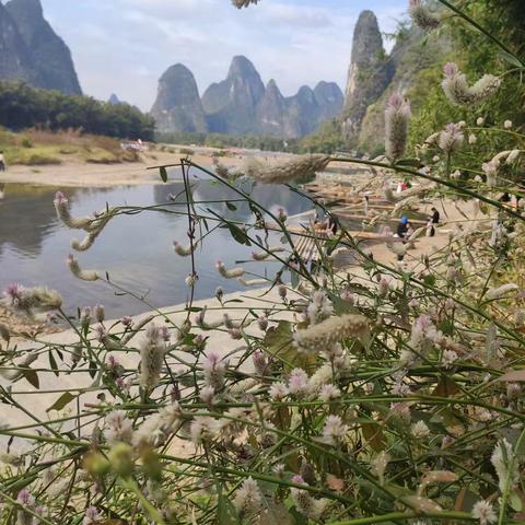 常丽的简篇