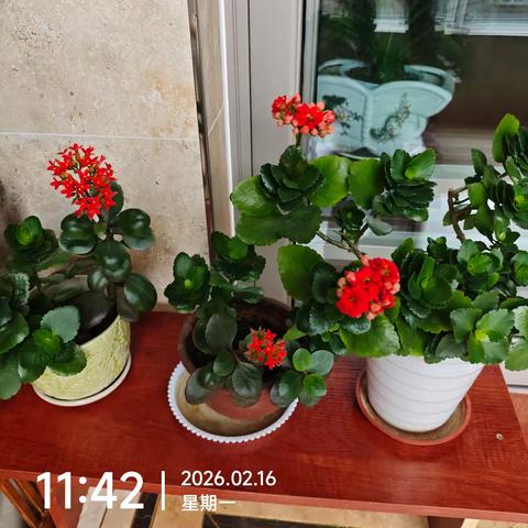 骏马迎春 逍遥庐州