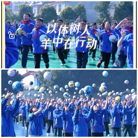 以体树人 一起上场｜深耕育人沃土，燃亮羊中朝气