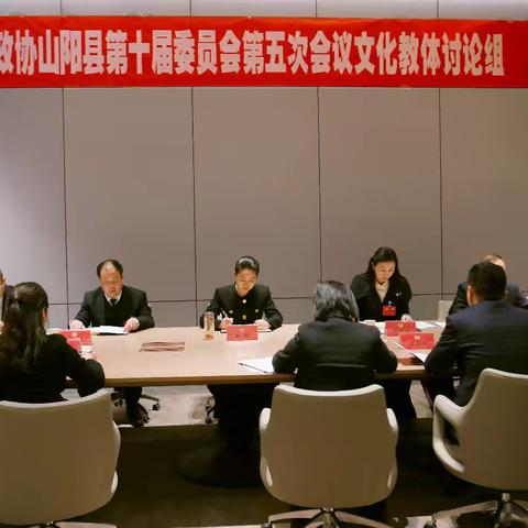 县政协主席王昕参加政协文化教体组讨论并讲话