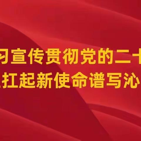 围绕中心履职尽责  服务大局助力发展——定昌镇4月27日工作动态