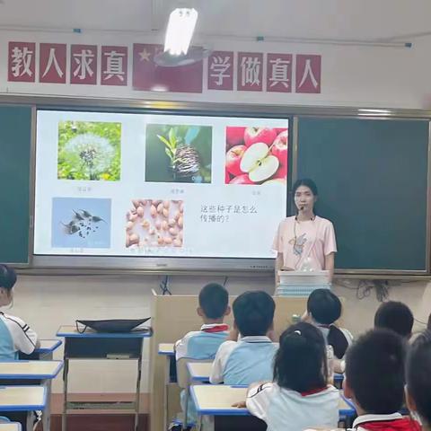 梦想课程故事系列：海口市滨海第九小学春华秋实-种植园课程——种子的传播