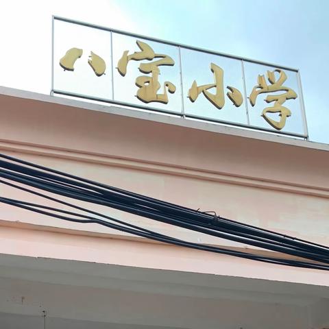 交通安全无小事，安全常识伴我行——平南县官成镇八宝小学交通安全主题教育