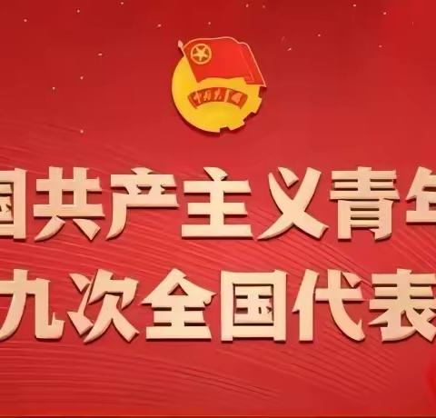 青春心向党  奋辑再扬帆——海口市城西中学集中学习团十九大精神