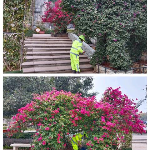 宜良玉禾田 保洁铸就城市颜值