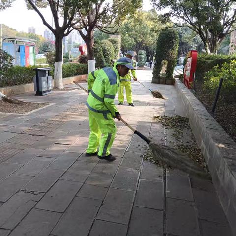 【宜良玉禾田】以坚韧之心，迎接春天的挑战