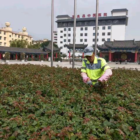 宜良玉禾田【方寸之地见责任，广场之上显担当】