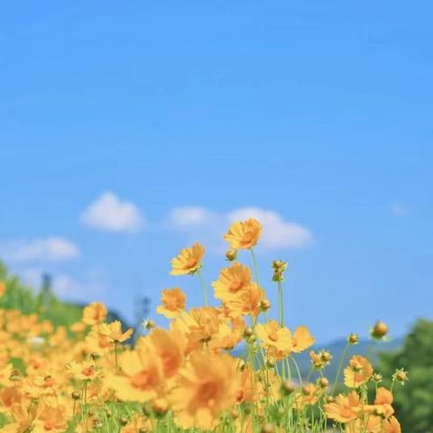 家长进校 共育未来——成安县育才小学