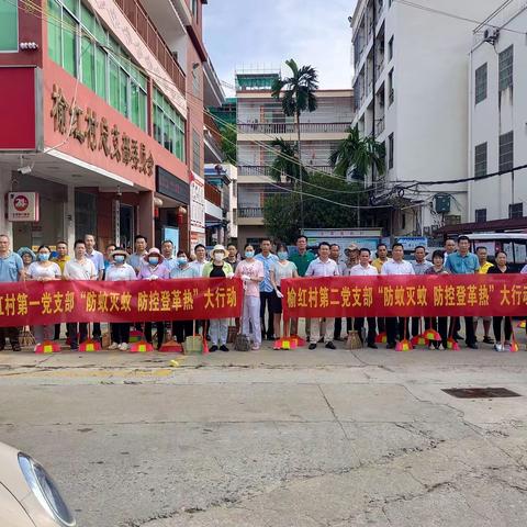 防蚊灭蚊，防控登革热|榆红村全员出动开展除蚊灭蚊大行动