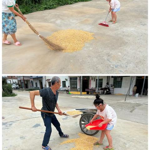 王心媛的快乐暑假