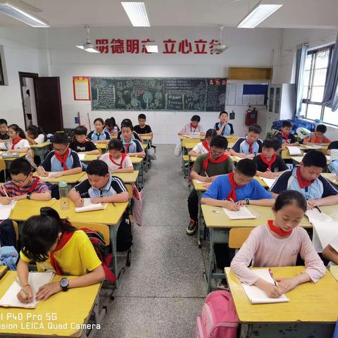 🏫立心小学 五年级 4班🚩教学反馈