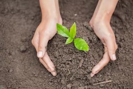 🌱拥抱春天，快乐种植🌱—彬州市小章中心幼儿园学会种植主题活动