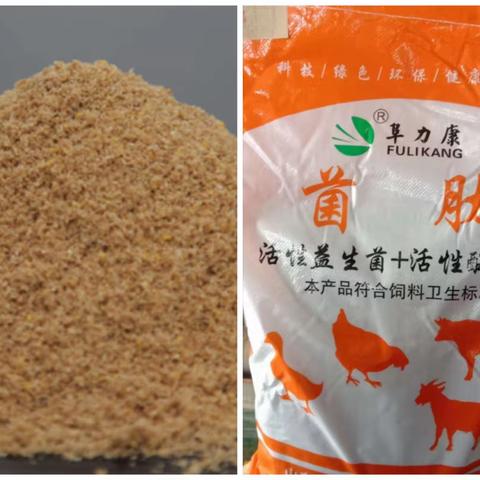 阜力康—生物发酵饲料（菌肽）