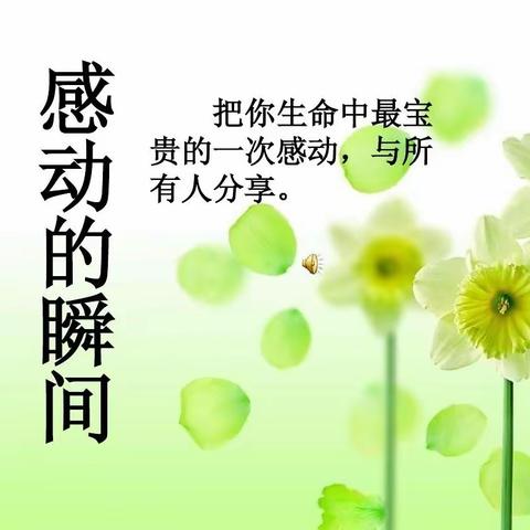 佳作欣赏第二十八期