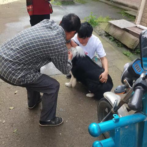 畜禽疫苗接种