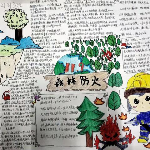 2023年上学期第四刊“森林防火”手抄报评比情况