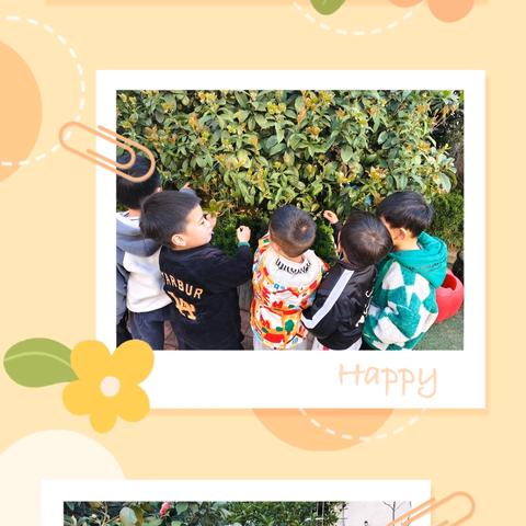 留“夏”回忆，时光有你——大四班