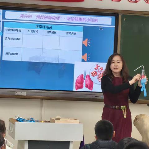 探秘狗狗肺脏 解锁听诊奥秘