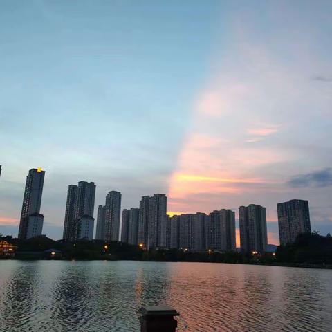 ❤️金域天下物业服务中心5🈷️月报❤️
