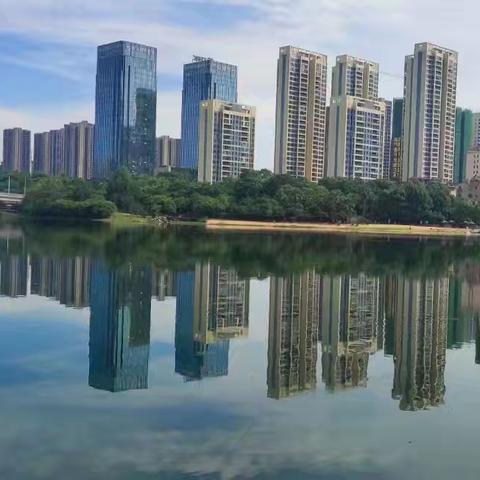 佳兆业金域天下2024年8月物业服务月报
