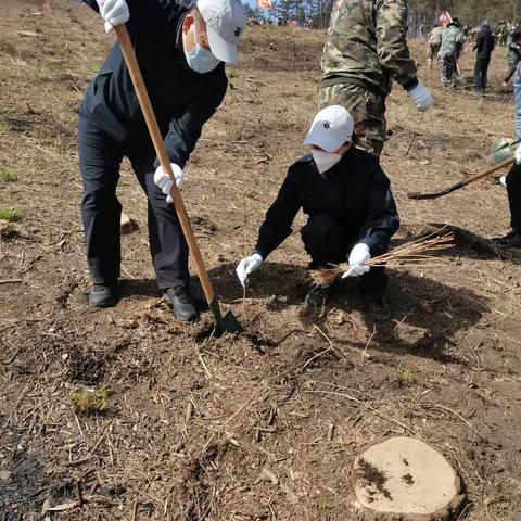 “造林绿化，共创生态东洲”——东洲区人大到哈达镇进行义务植树