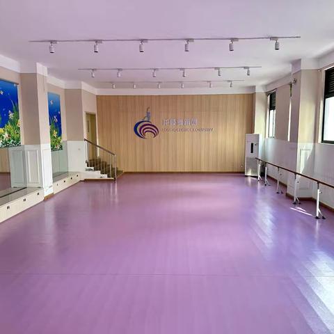 艺路繁花，向舞而行 —— 海口市龙岐小学舞蹈室精彩记录