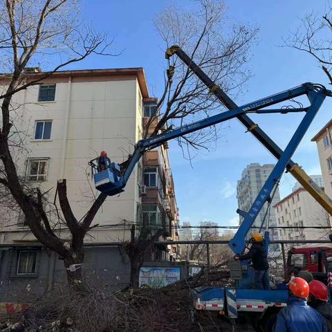 海港区园林绿化中心开展“绿色家园 幸福海港”社区共建活动